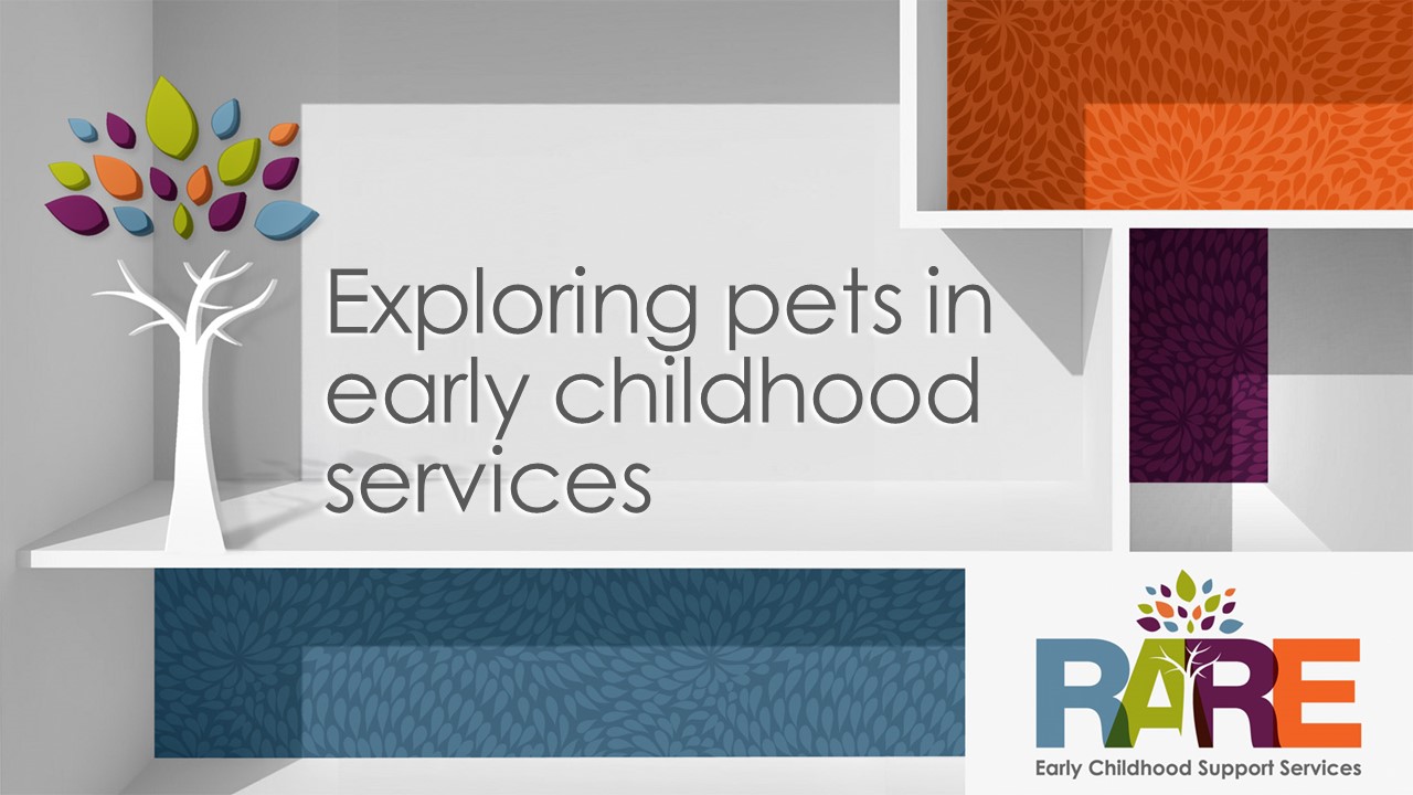 Exploring pets in early childhood services
