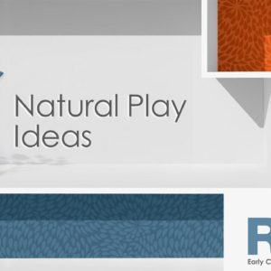 Natural Play Ideas