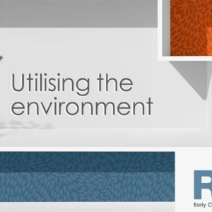 Utilising the Environment